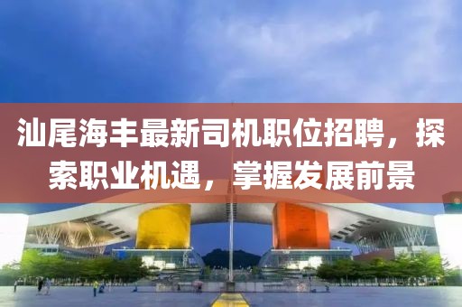 汕尾海豐最新司機職位招聘，探索職業(yè)機遇，掌握發(fā)展前景