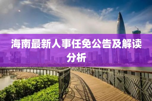 海南最新人事任免公告及解讀分析