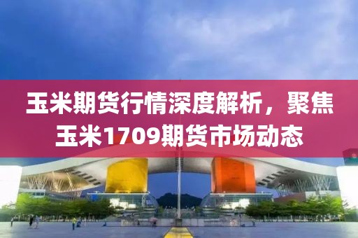 玉米期貨行情深度解析，聚焦玉米1709期貨市場動態(tài)