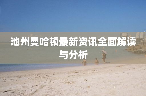 池州曼哈頓最新資訊全面解讀與分析