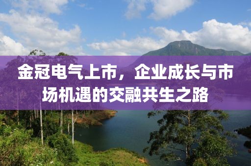 金冠電氣上市，企業(yè)成長(zhǎng)與市場(chǎng)機(jī)遇的交融共生之路