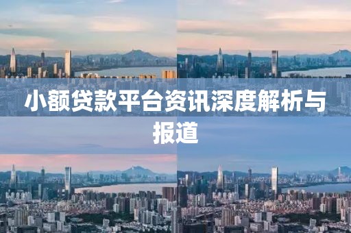小額貸款平臺資訊深度解析與報(bào)道