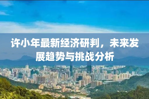 許小年最新經(jīng)濟研判，未來發(fā)展趨勢與挑戰(zhàn)分析