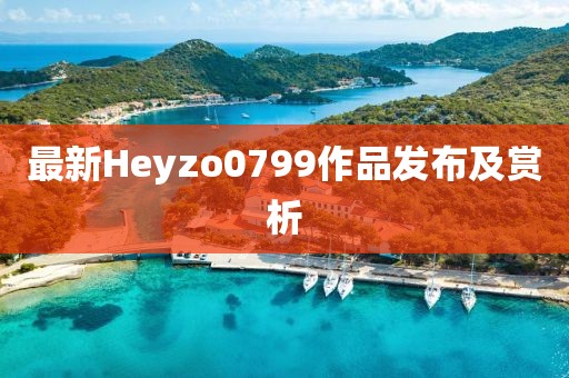 最新Heyzo0799作品發(fā)布及賞析