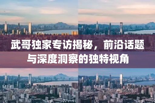 武哥獨(dú)家專訪揭秘，前沿話題與深度洞察的獨(dú)特視角