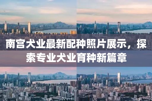 南宮犬業(yè)最新配種照片展示，探索專業(yè)犬業(yè)育種新篇章