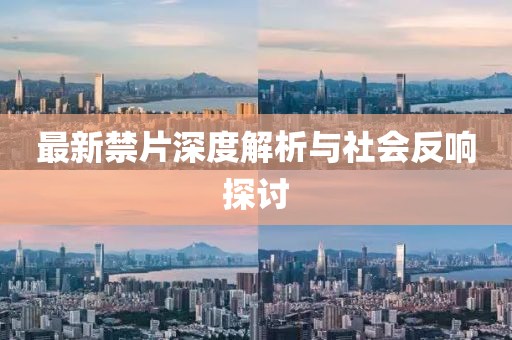 最新禁片深度解析與社會(huì)反響探討