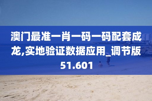 澳門最準一肖一碼一碼配套成龍,實地驗證數(shù)據(jù)應用_調(diào)節(jié)版51.601