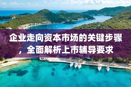 企業(yè)走向資本市場(chǎng)的關(guān)鍵步驟，全面解析上市輔導(dǎo)要求