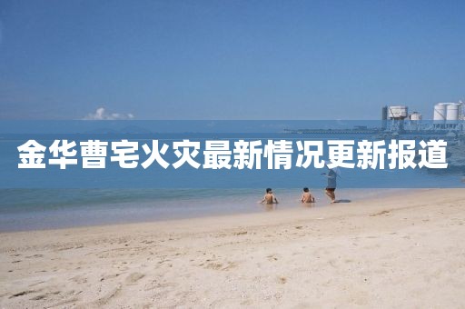 火影忍者最新動(dòng)態(tài)深度解析與探討