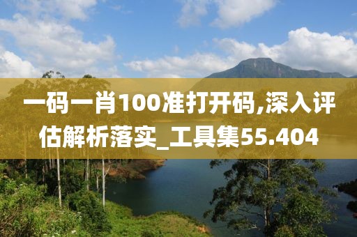 一碼一肖100準打開碼,深入評估解析落實_工具集55.404