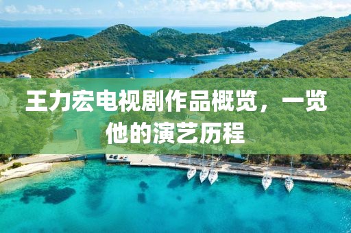 王力宏電視劇作品概覽，一覽他的演藝歷程