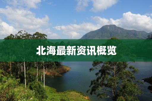 北海最新資訊概覽