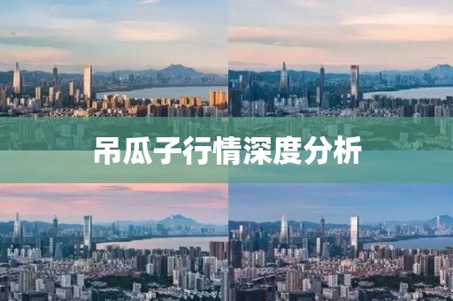 吊瓜子行情深度分析