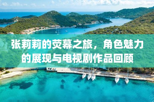 張莉莉的熒幕之旅，角色魅力的展現(xiàn)與電視劇作品回顧