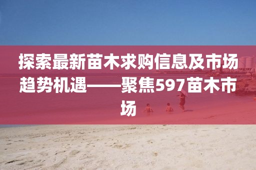 固容規(guī)2021版深度解析與應用展望
