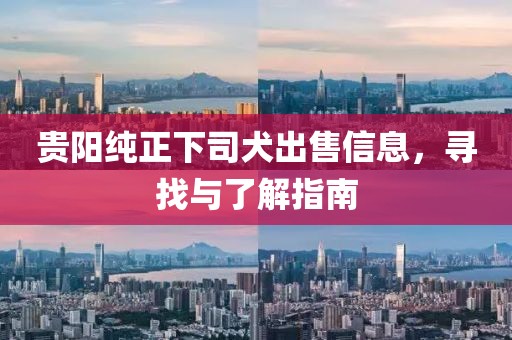 貴陽(yáng)純正下司犬出售信息，尋找與了解指南