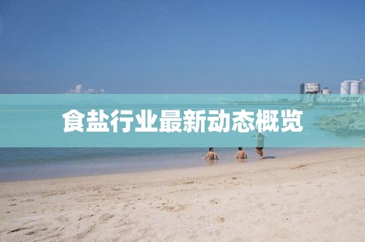 食鹽行業(yè)最新動(dòng)態(tài)概覽