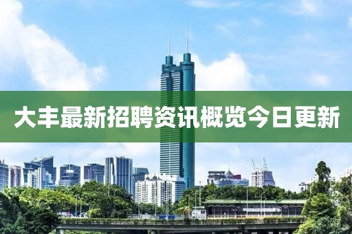 大豐最新招聘資訊概覽今日更新