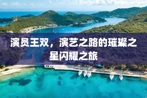 演員王雙，演藝之路的璀璨之星閃耀之旅