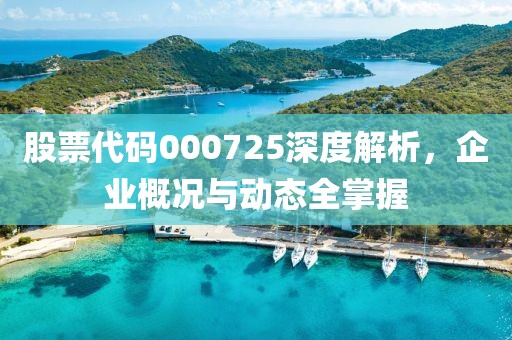 股票代碼000725深度解析，企業(yè)概況與動(dòng)態(tài)全掌握