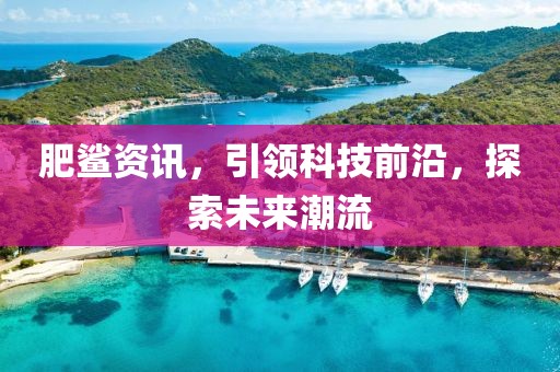 菲菲公主 第14頁