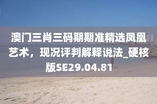 2024新澳門天天開好彩大全正版,分析性研究解答解釋路徑_可調(diào)型76.209