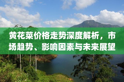 黃花菜價格走勢深度解析，市場趨勢、影響因素與未來展望