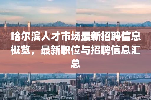 哈爾濱人才市場最新招聘信息概覽，最新職位與招聘信息匯總