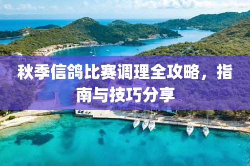 秋季信鴿比賽調(diào)理全攻略，指南與技巧分享