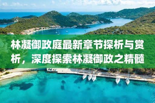 林凝御政庭最新章節(jié)探析與賞析，深度探索林凝御政之精髓
