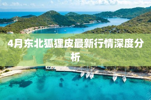 4月東北狐貍皮最新行情深度分析