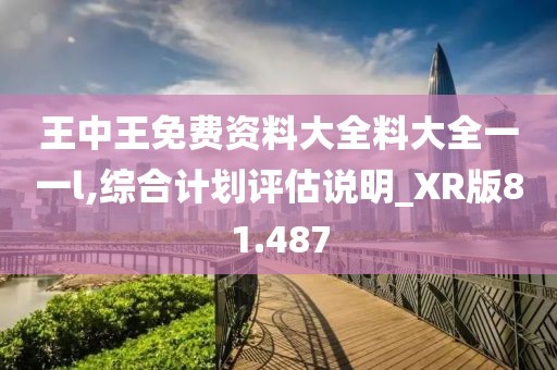 王中王免費資料大全料大全一一l,綜合計劃評估說明_XR版81.487