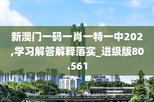 新澳門一碼一肖一特一中202,學習解答解釋落實_進級版80.561