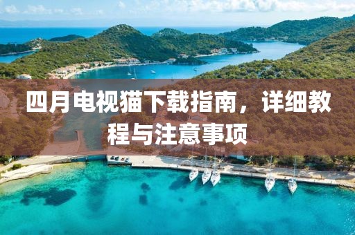 四月電視貓下載指南，詳細教程與注意事項