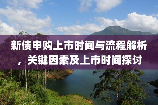 新債申購(gòu)上市時(shí)間與流程解析，關(guān)鍵因素及上市時(shí)間探討