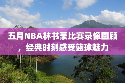 五月NBA林書豪比賽錄像回顧，經(jīng)典時刻感受籃球魅力