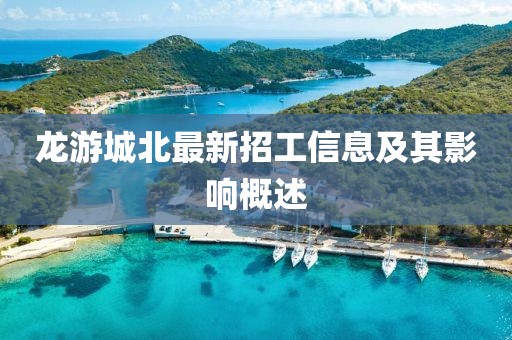 龍游城北最新招工信息及其影響概述