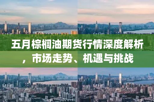 五月棕櫚油期貨行情深度解析，市場走勢、機遇與挑戰(zhàn)