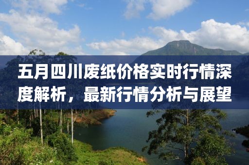 五月四川廢紙價格實(shí)時行情深度解析，最新行情分析與展望