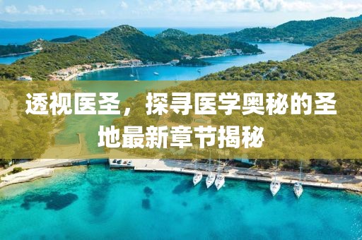 五月無限之住人動漫，深度解析與探討