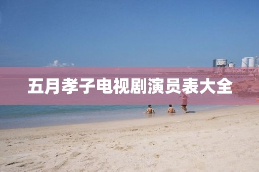 五月孝子電視劇演員表大全