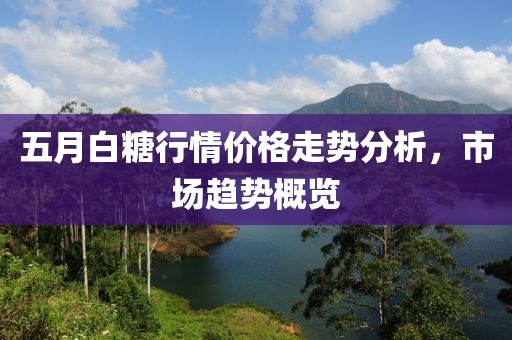 五月白糖行情價格走勢分析，市場趨勢概覽