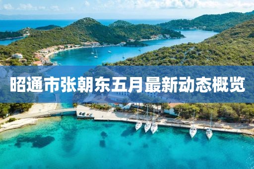 昭通市張朝東五月最新動態(tài)概覽
