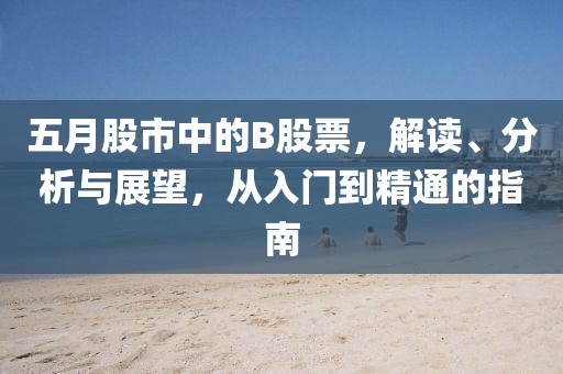 五月股市中的B股票，解讀、分析與展望，從入門到精通的指南