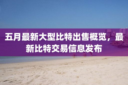 五月最新大型比特出售概覽，最新比特交易信息發(fā)布