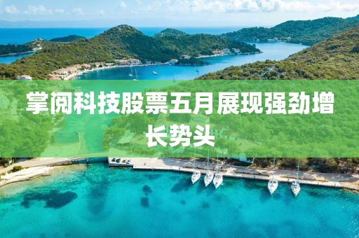 掌閱科技股票五月展現(xiàn)強勁增長勢頭