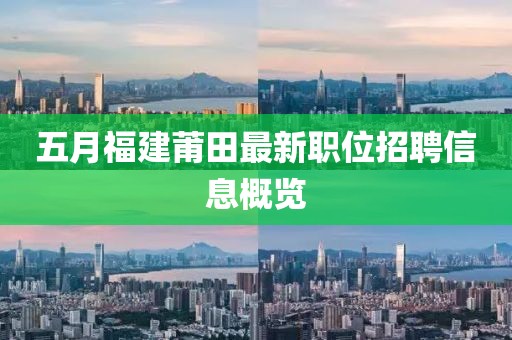 五月福建莆田最新職位招聘信息概覽
