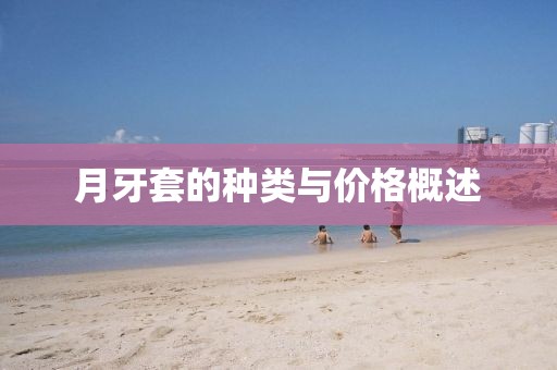 月牙套的種類與價格概述