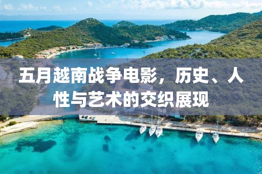 五月越南戰(zhàn)爭電影，歷史、人性與藝術(shù)的交織展現(xiàn)